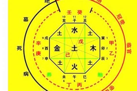 喜用神分析|八字入门基础 第六篇 如何判断八字喜用神